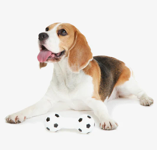Pet Products Pet Products