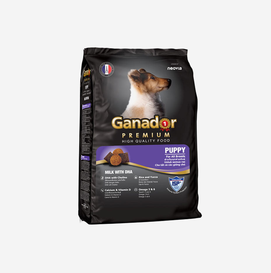 Royal Canin Medium Simple